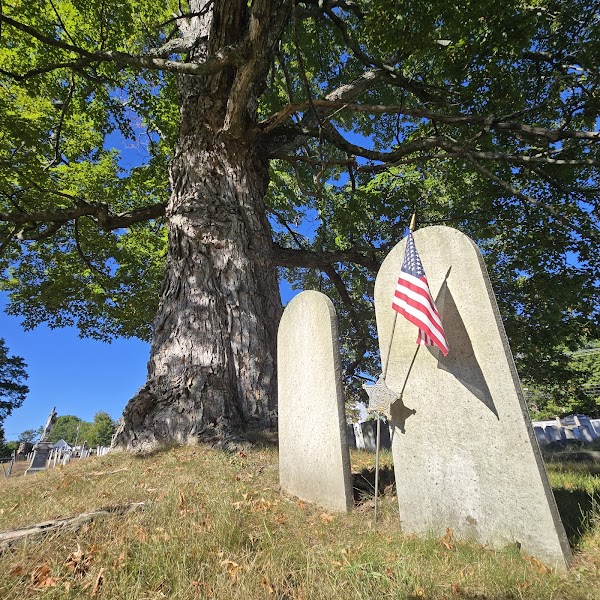 Village Cemetery grounds