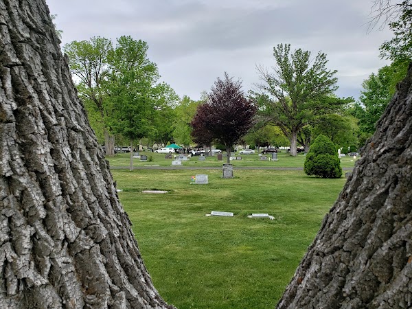 Vine Bluff Cemetery grounds