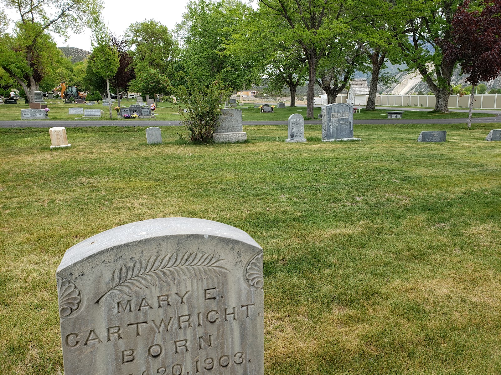 Vine Bluff Cemetery headstone and grounds