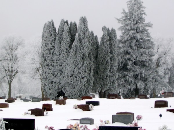 Violet Hill Cemetery grounds