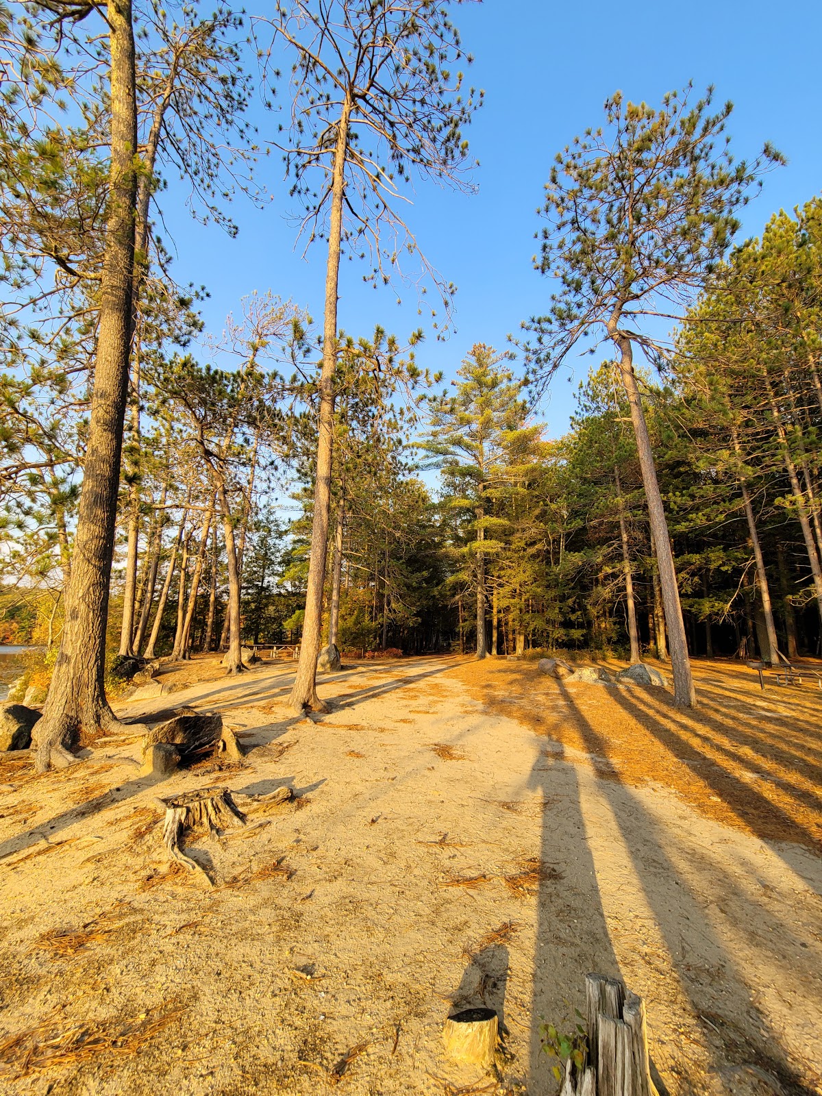 Wadleigh State Park cemetery grounds and headstones