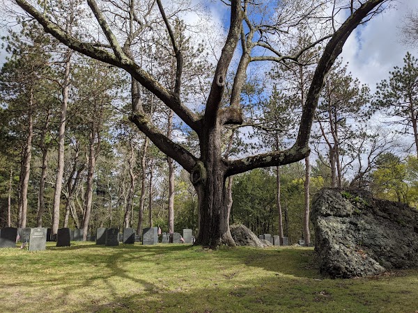 Walnut Hills Cemetery grounds