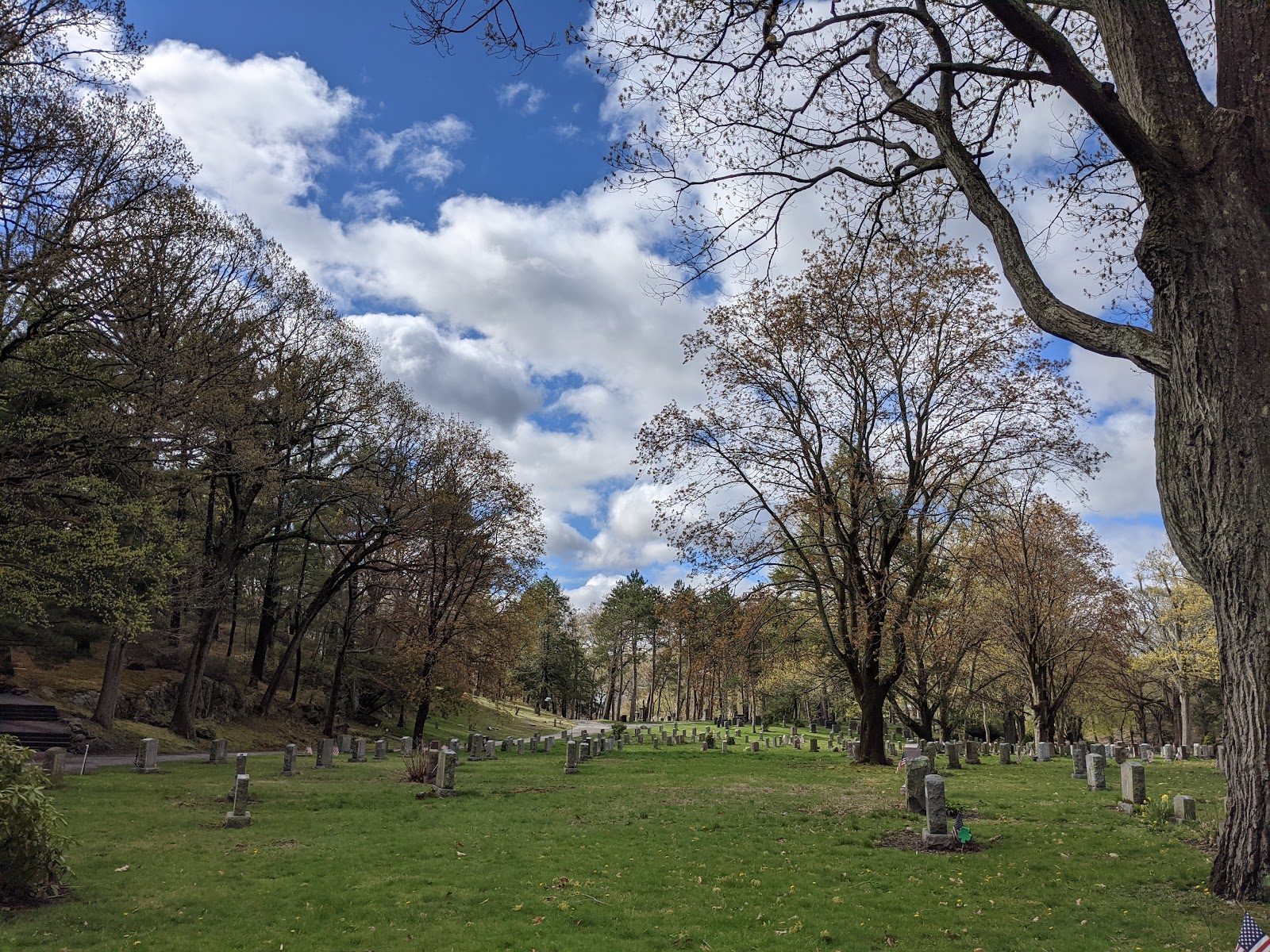 Walnut Hills Cemetery cemetery grounds and headstones