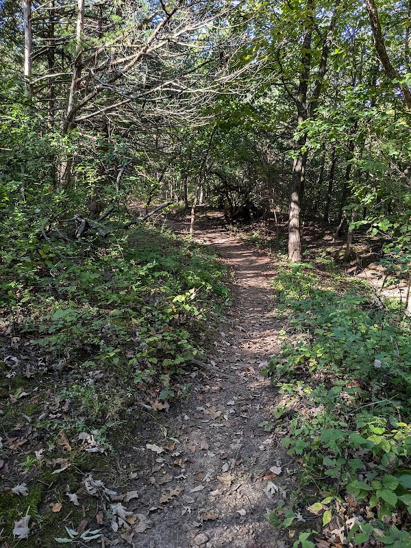 Warner Memorial Park grounds