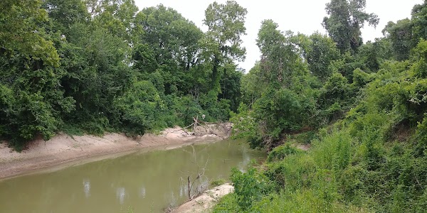 Washington Avenue Coalition / Memorial Park grounds