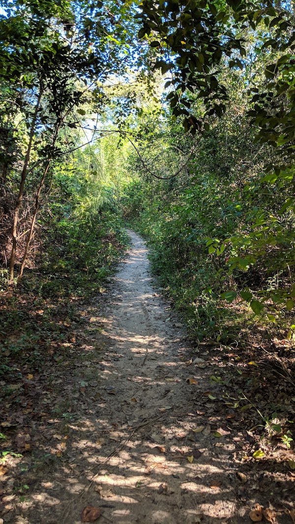 Washington Avenue Coalition / Memorial Park grounds