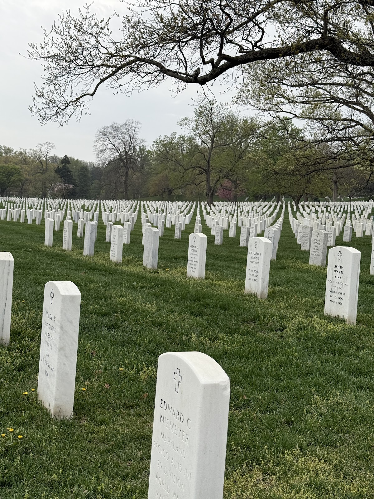 Washington Cemetery cemetery grounds and headstones