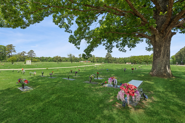 Washington Memorial Park grounds