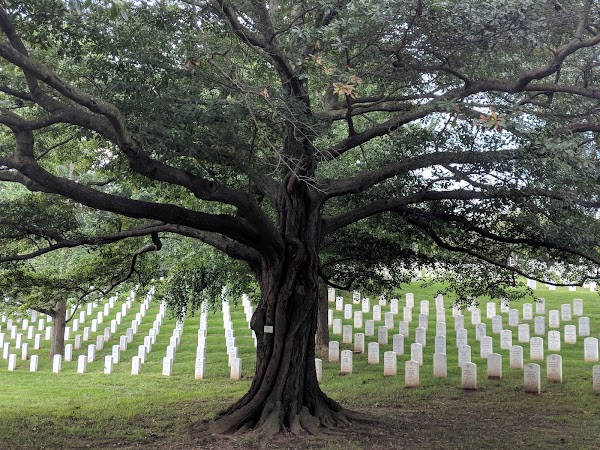 Washington National Cemetery grounds