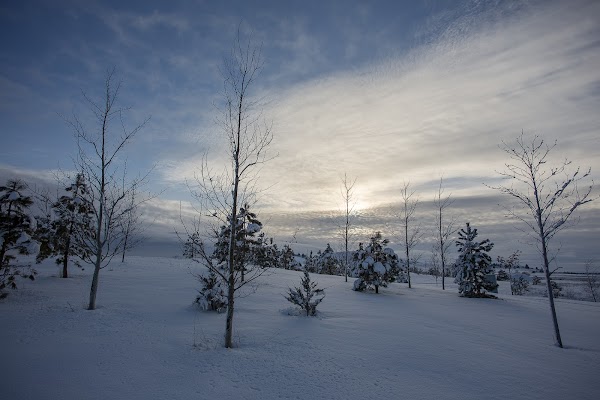 Washington State Veterans Cemetery grounds
