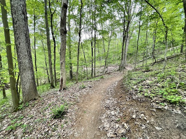 Watters Smith Memorial State Park grounds