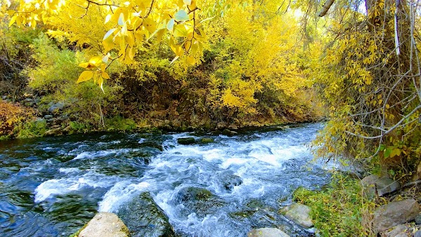 Weber Memorial Park grounds