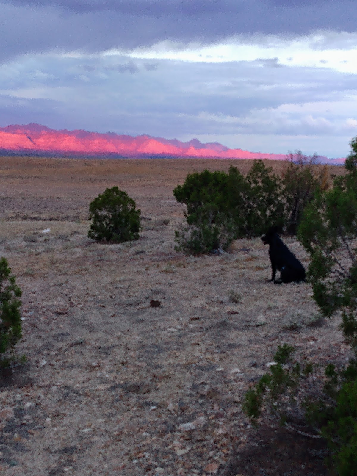 Wellington headstone and grounds