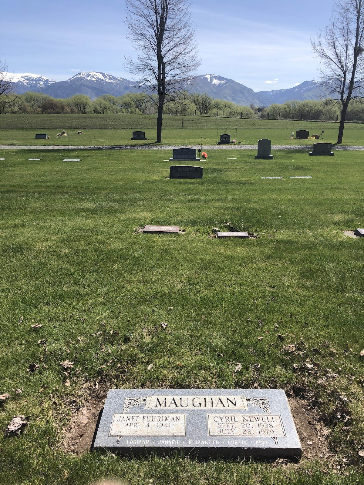 Wellsville Cemetery headstone and grounds
