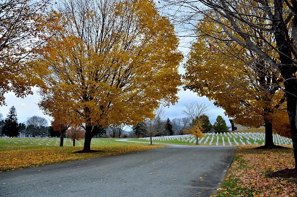 Western Carolina State Veterans Cemetery grounds
