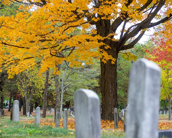 Western Cemetery grounds