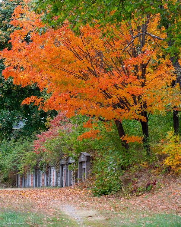 Western Cemetery grounds
