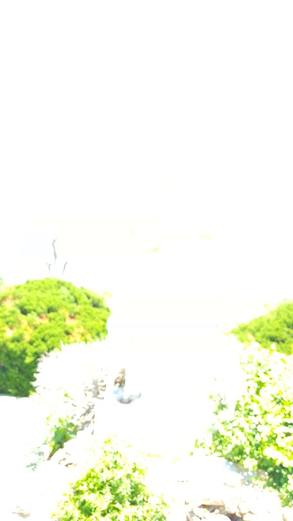 Westlawn Memorial Park grounds