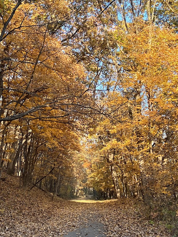 Weston Bend State Park grounds
