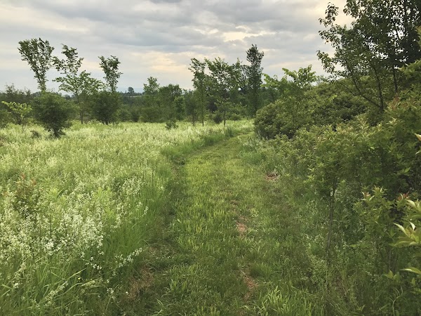 Wheeler Nature Park grounds