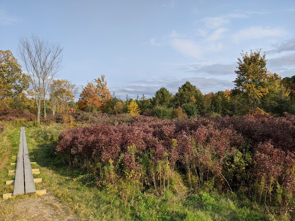 Wheeler Nature Park grounds
