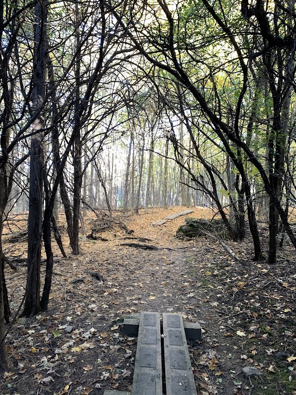Wheeler Nature Park grounds