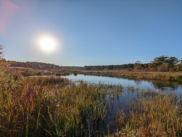 White Memorial Conservation Center grounds