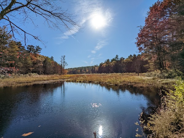 White Memorial Conservation Center grounds