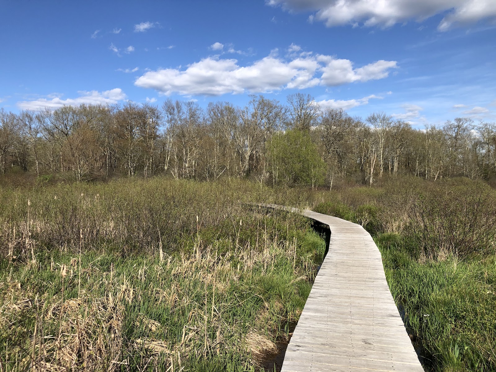 White Memorial Conservation Center cemetery grounds and headstones