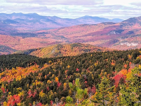 White Mountain National Forest grounds