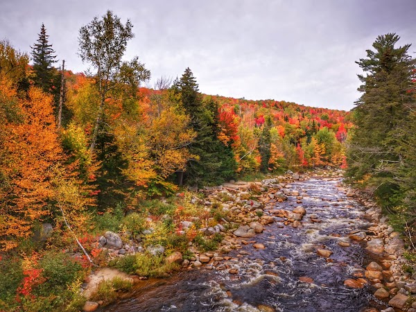 White Mountain National Forest grounds