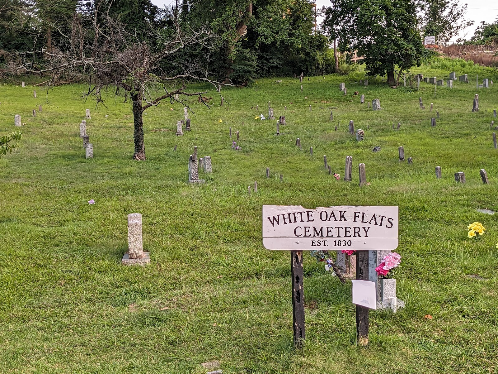 White Oak Flats Cemetery cemetery grounds and headstones