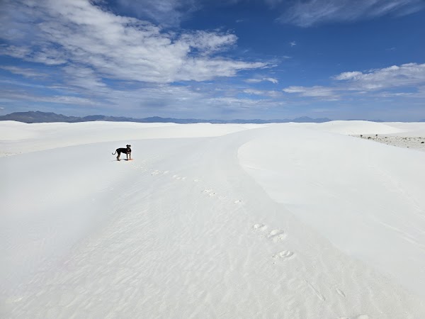 White Sands National Park grounds