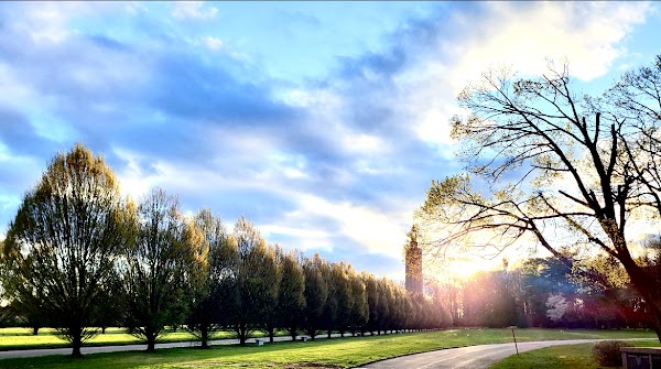 Whitemarsh Memorial Park grounds