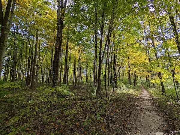 Whitewater Memorial State Park grounds