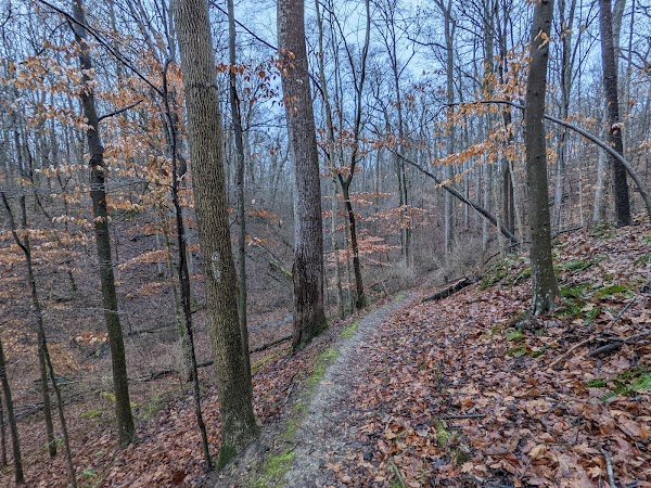 Whitewater Memorial State Park grounds