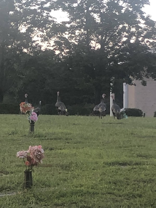Whiting Memorial Park & Mausoleum grounds