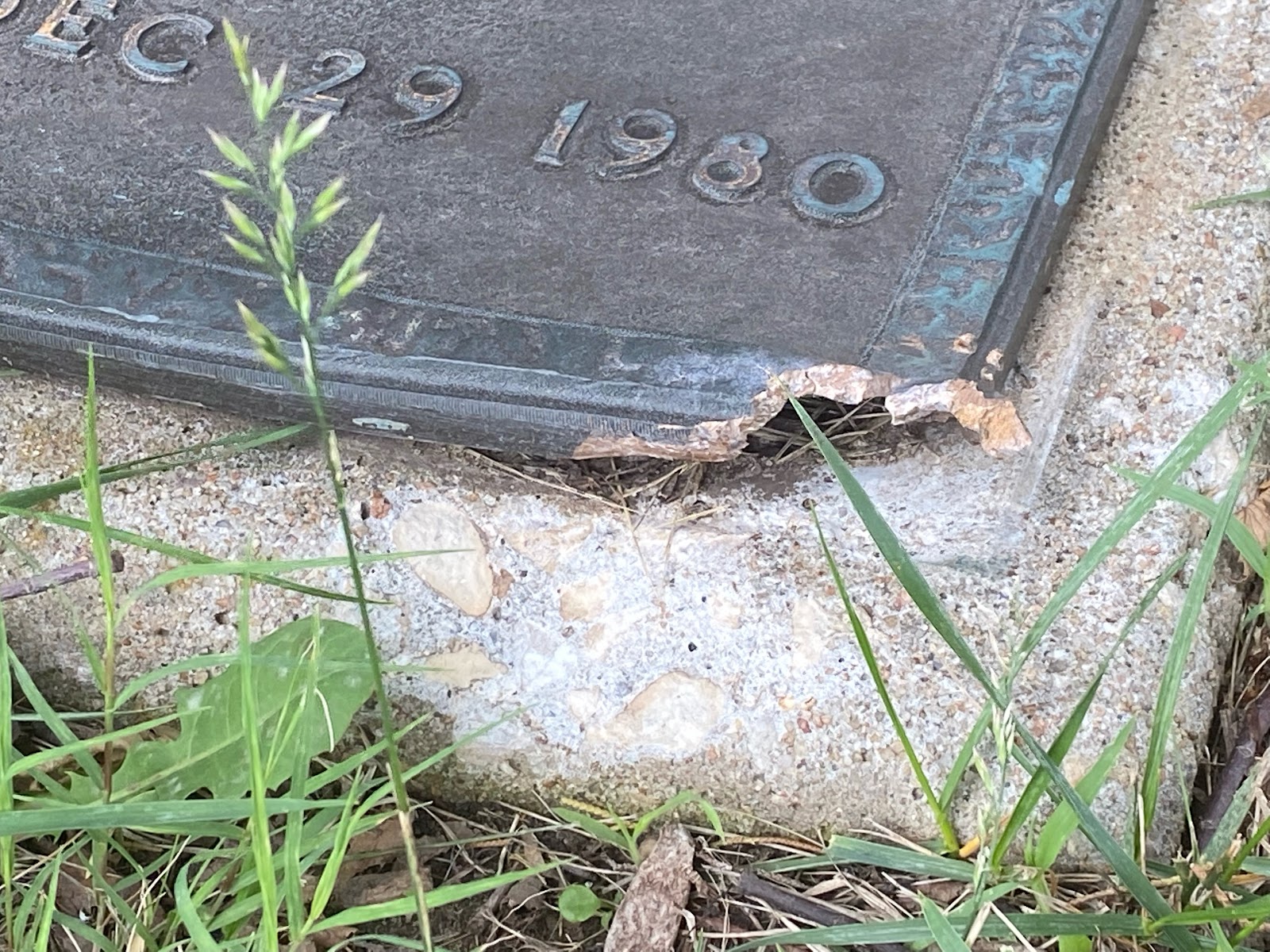 Wichita Park Cemetery cemetery grounds and headstones