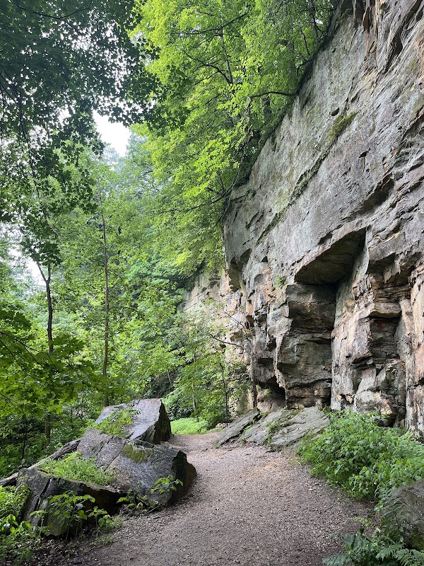 Wildcat Den State Park grounds