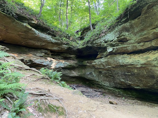 Wildcat Den State Park grounds