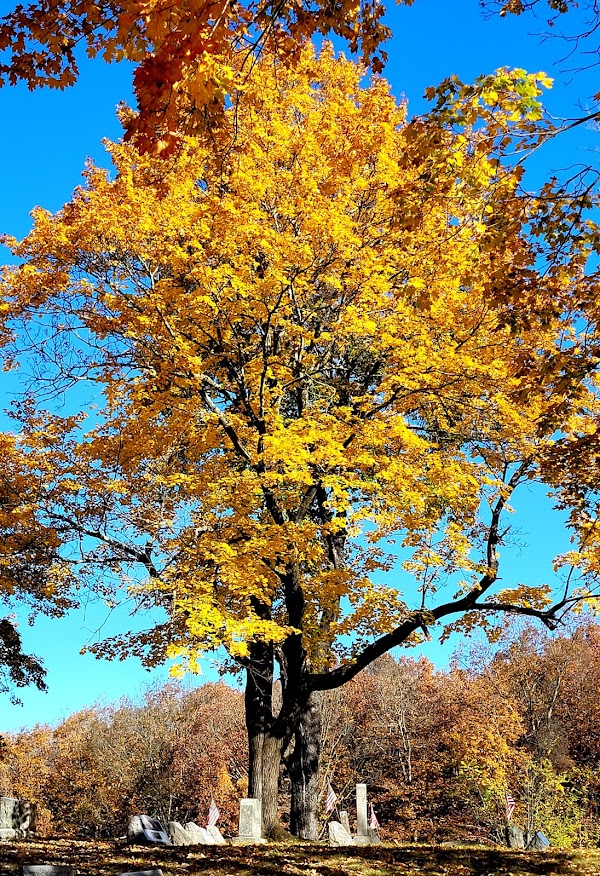 Wildwood Cemetery grounds