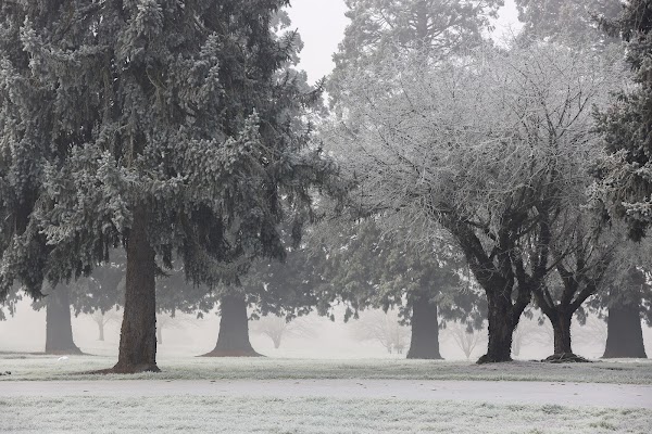 Willamette Memorial Park Cemetery grounds