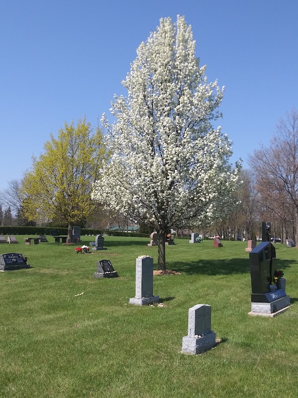 Willow Lawn Memorial Park grounds
