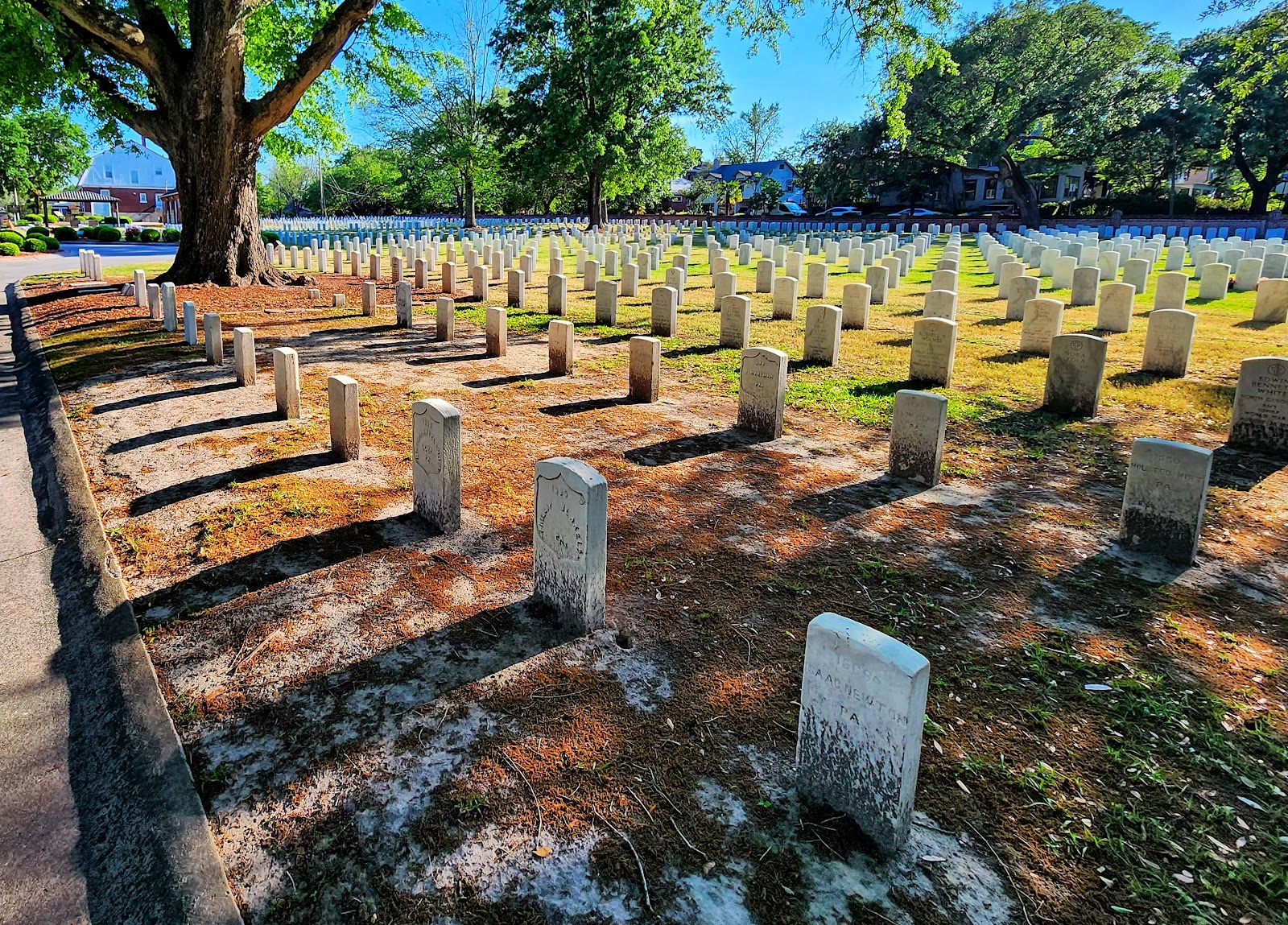 Wilmington National Cemetery cemetery grounds and headstones