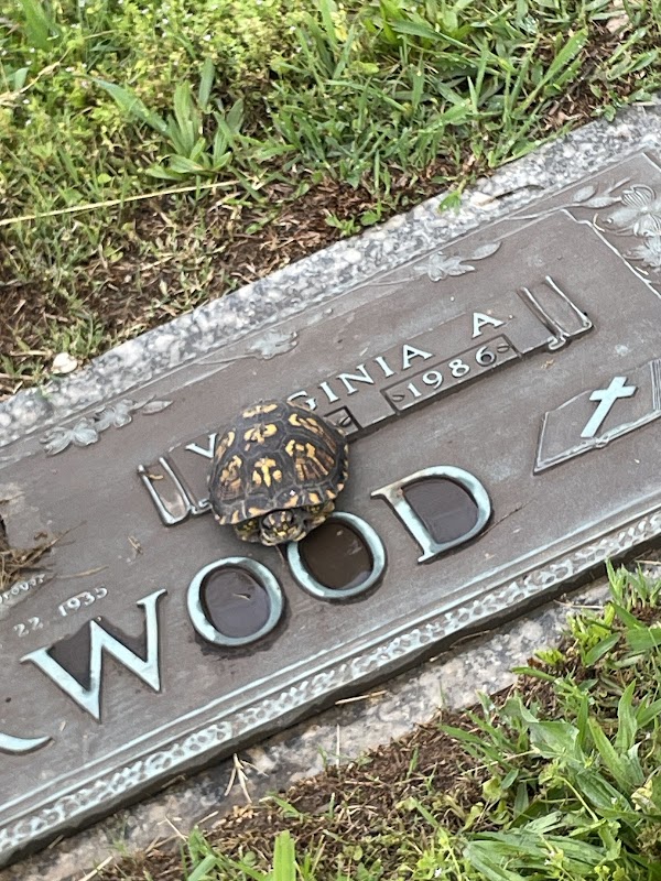 Wilson County Funeral Home and Memorial Park grounds