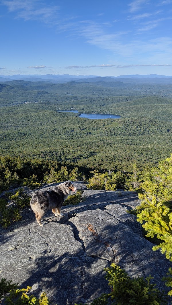 Winslow State Park grounds