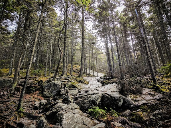 Winslow State Park grounds