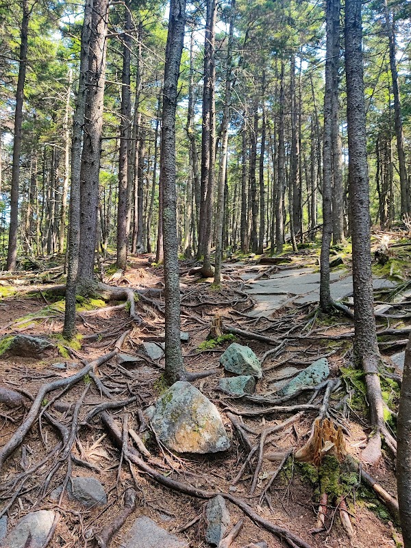 Winslow State Park grounds