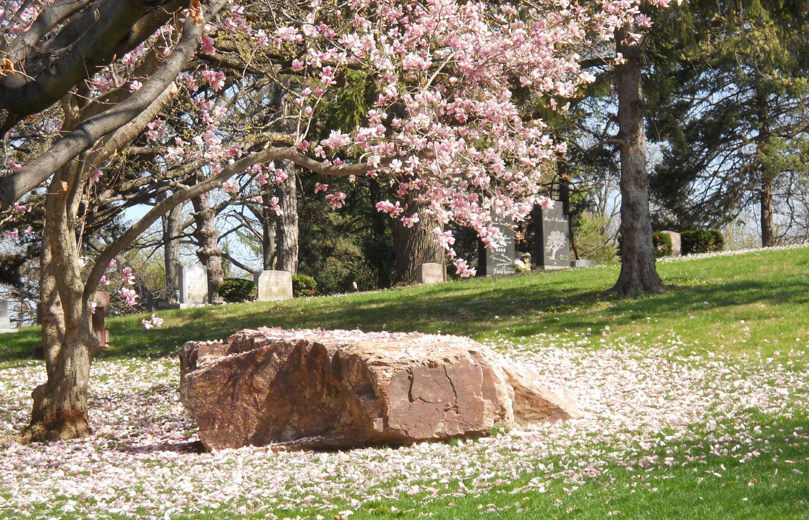 Woodland Cemetery and Arboretum cemetery grounds and headstones