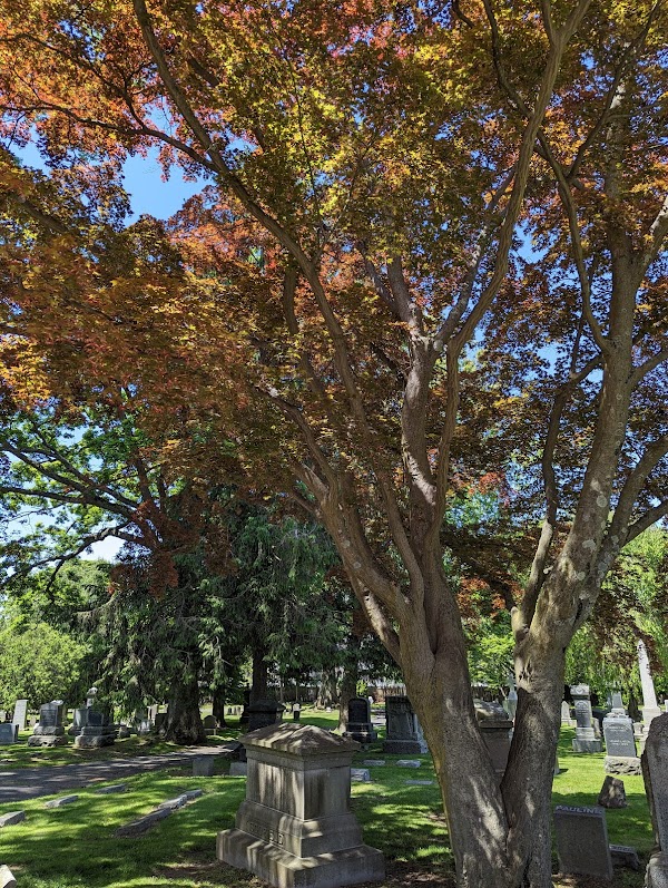 Woodland Cemetery grounds